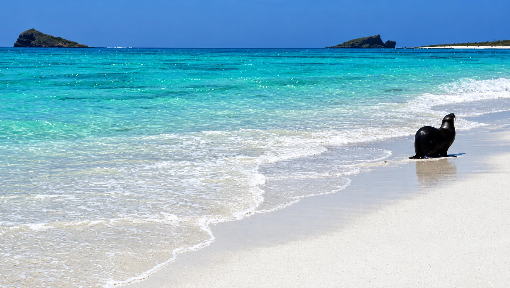 на фото: остров Бартоломе, Галапагоссы в Эквадоре